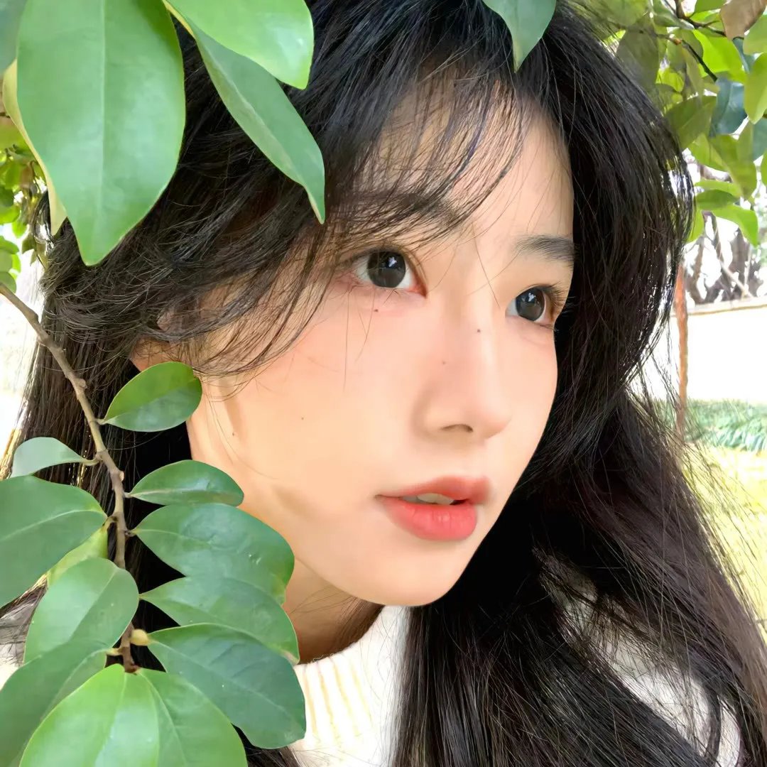一颗红豆